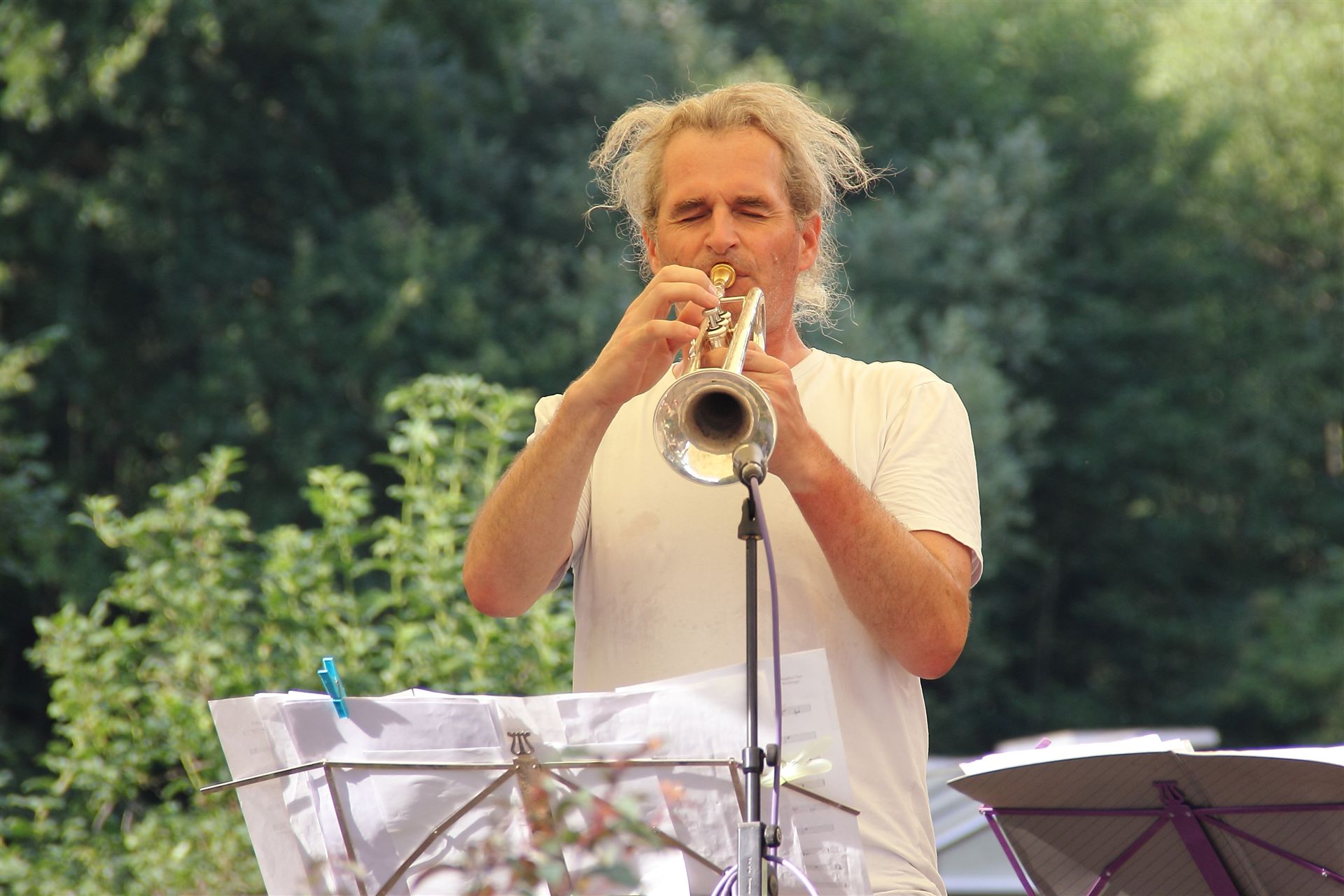 Jazz im Hof 2019